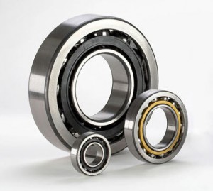 Tensioner Bearings